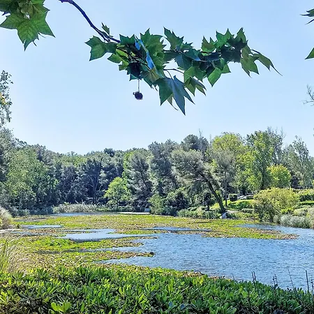 公寓 Les Rivages De Coudouliere-8 By Interhome