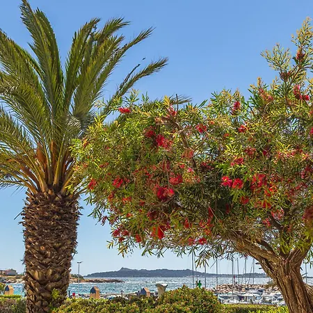 Les Rivages De Coudouliere-8 By Interhome Apartment Six-Fours-les-Plages